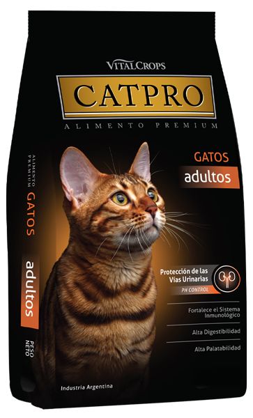 CatPro Adultos