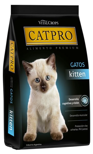 CatPro Kitten