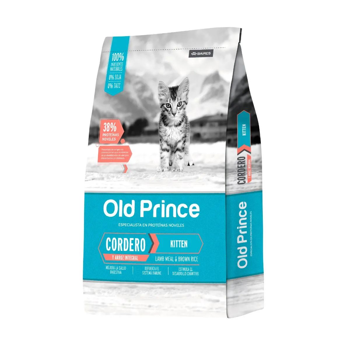 Old Prince Cordero Kitten
