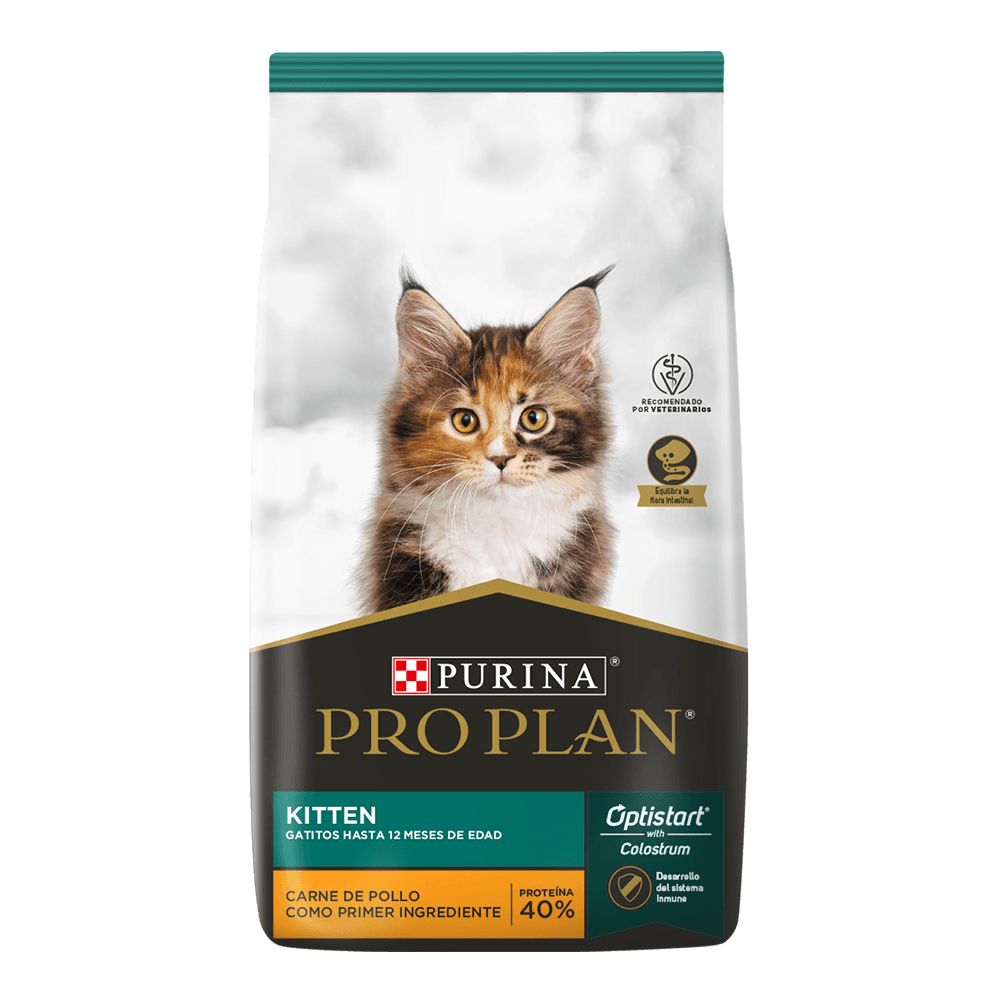 Pro Plan Kitten