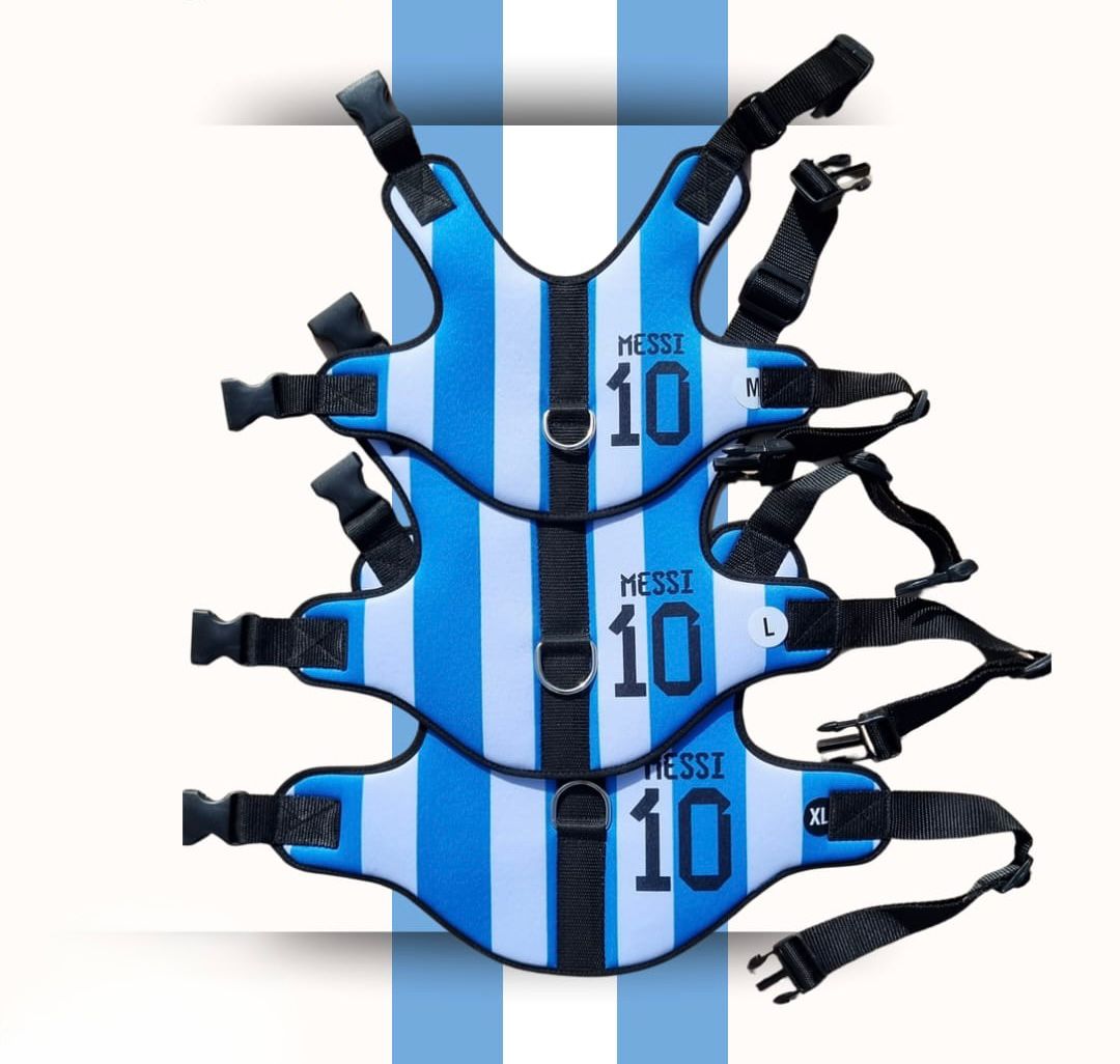Pechera Messi 10